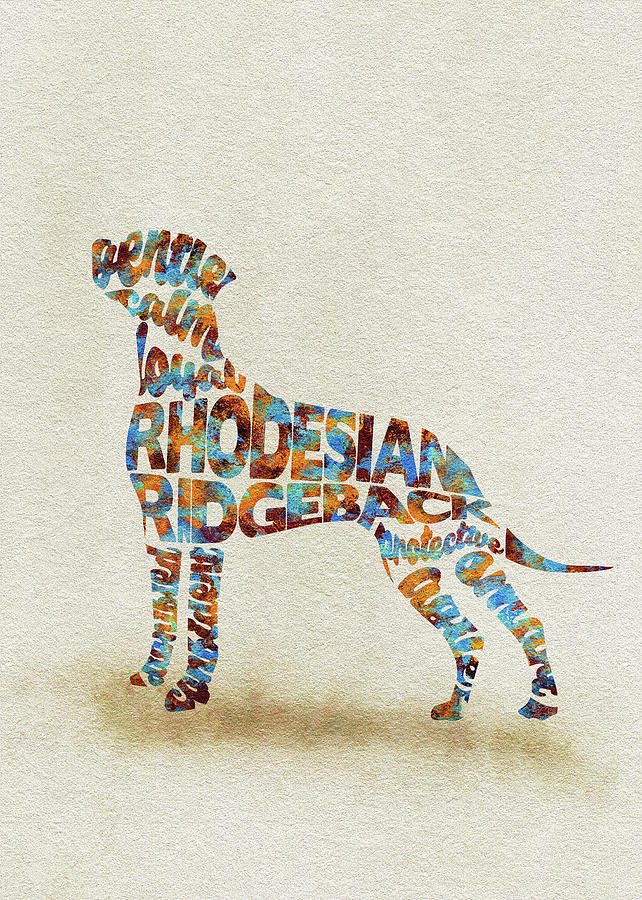 The Rhodesian Ridgeback Dog Watercolor Painting / Typographic Art Painting by Inspirowl Design