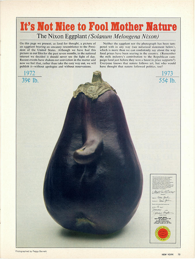 The Richard Nixon Eggplant by Peggy Barnett The Richard Nixon Eggplant by Peggy Barnett