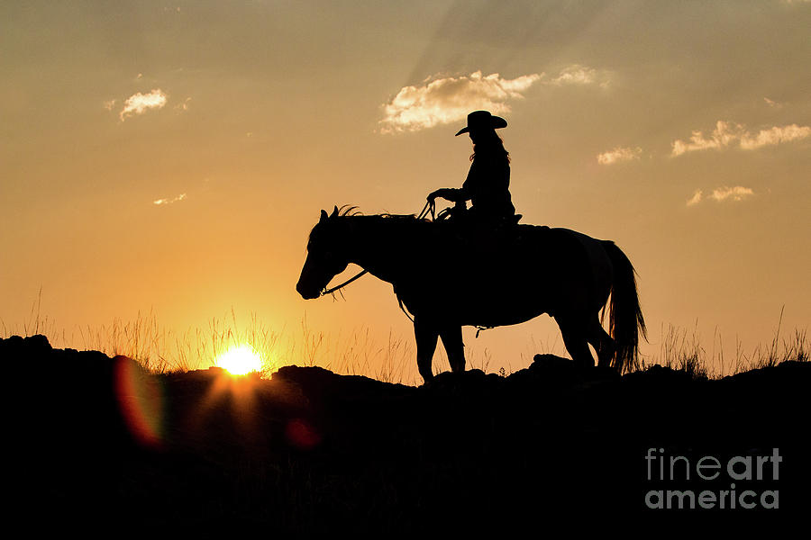 The Ridge Photograph By Erin Schwartzkopf Fine Art America