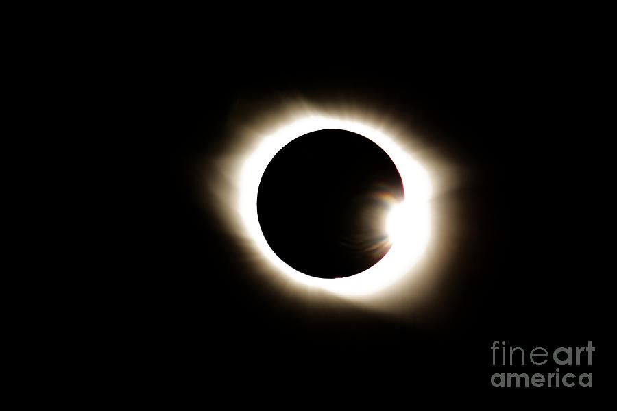 The Ring Photograph by Paul Mashburn