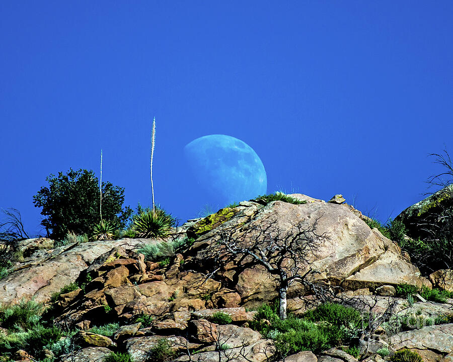 The Rising Moon Photograph by Stephen Whalen