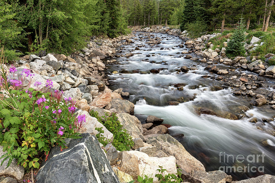 The River and Wildflowers Photograph by Tibor Vari