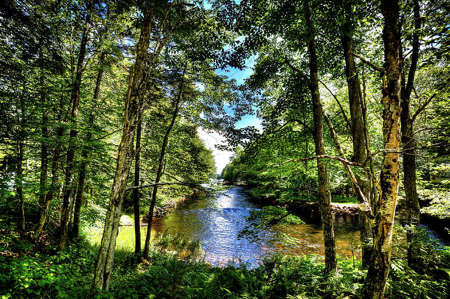 The River at Covewood Photograph by David Patterson