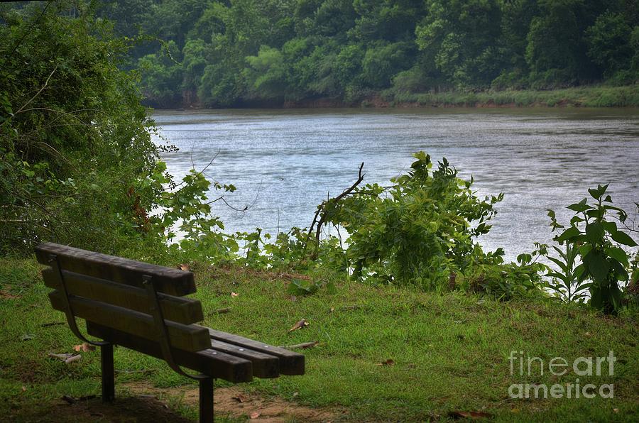 The River Bench Photograph by Skip Willits
