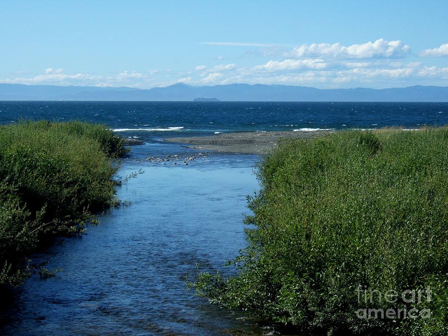 The River Flows To The Sea Photograph by Delores Malcomson