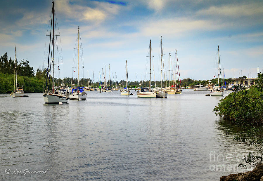 The River Marina Photograph by Les Greenwood