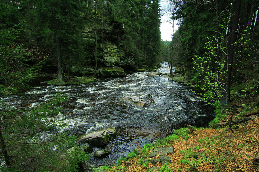 The River Orlice Photograph by Michal Jansa Fine Art America
