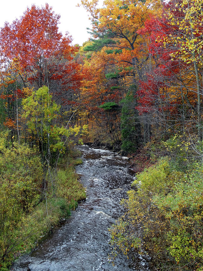 The River Runs Through Fall Photograph by David T Wilkinson