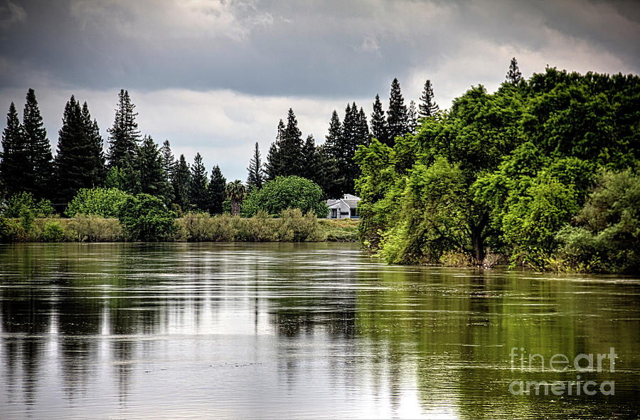The River View Photograph by Bob Hislop