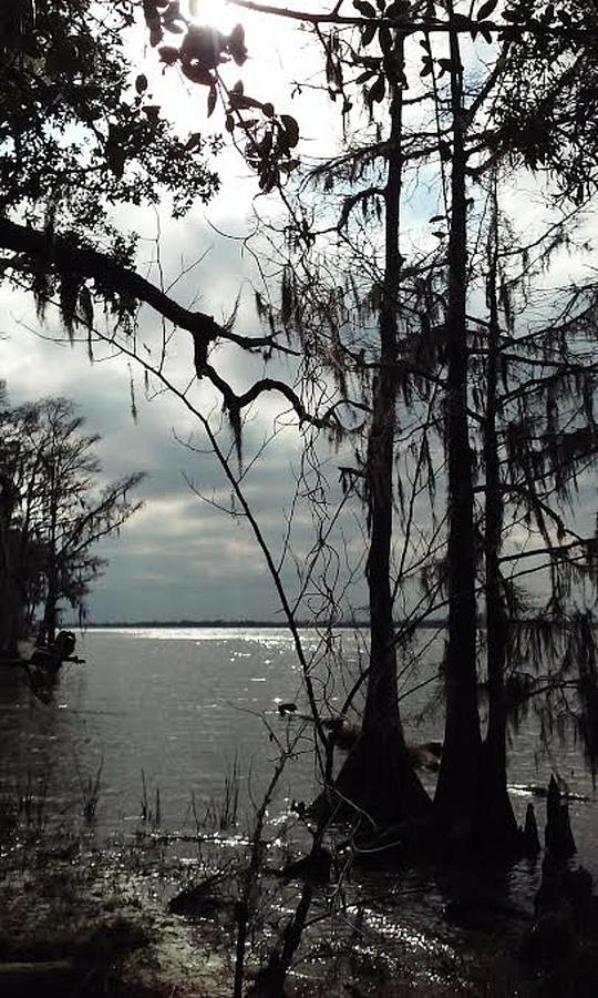 Nature Photograph - The Rivers Edge by Sheila Renee Parker Nature Photograph - The Rivers Edge by Sheila Renee Parker