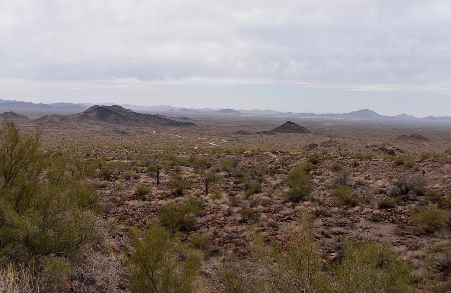 The Road From Palm Canyon Photograph by Roy Erickson - Fine Art America