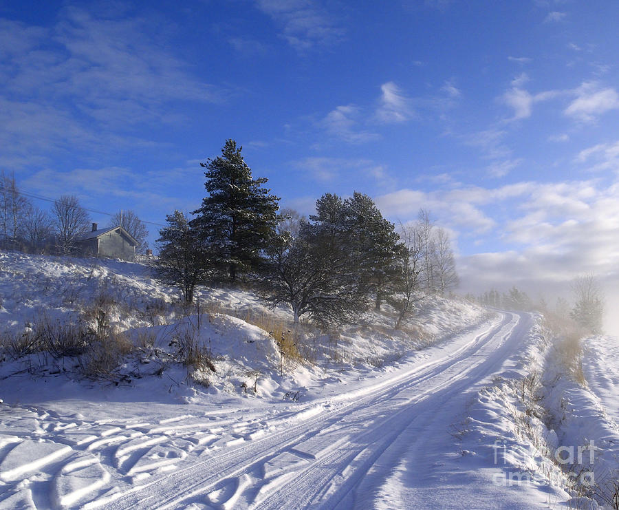 Winter Photograph - The road in winter by Esko Lindell