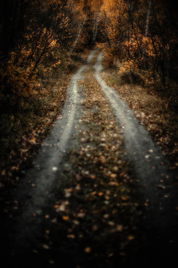 The Road Photograph by Jakub Sisak