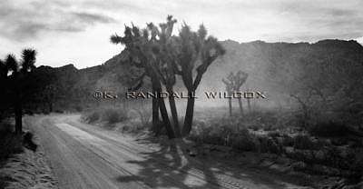The Road Less Traveled Photograph by K Randall Wilcox The Road Less Traveled Photograph by K Randall Wilcox