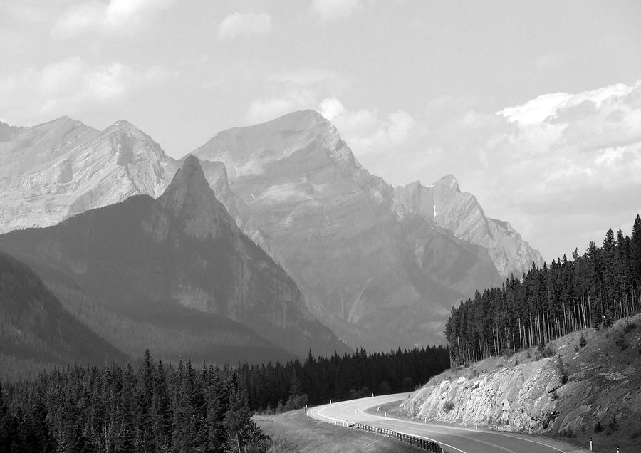 The Road Less Travelled Photograph by Tiffany Vest - Fine Art America