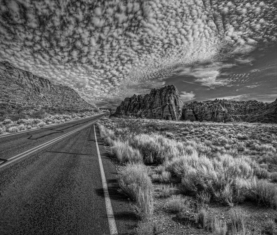 The Road Monochrome Photograph by Stephen Campbell