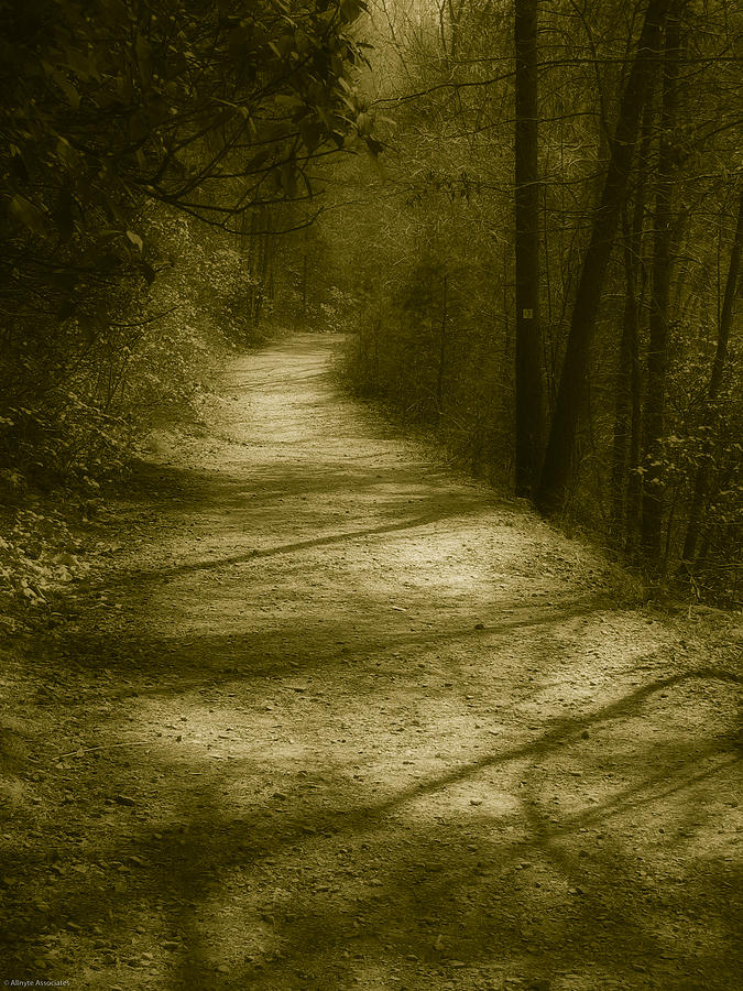 The Road to . . .  Photograph by Ches Black