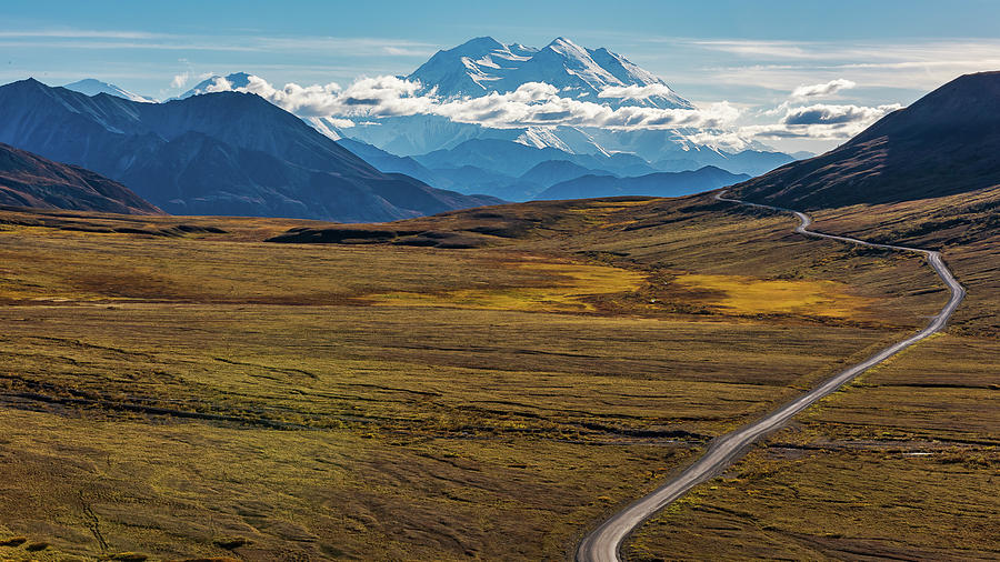 The road to Denali Photograph by Brenda Jacobs