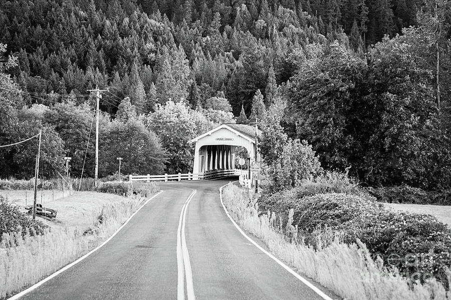 The Road to Grave Creek Covered Bridge - BW Photograph by Scott Pellegrin