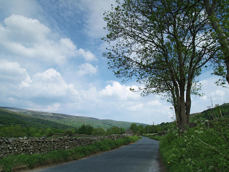 Tree Photograph - The Road to Gunnerside by Steve Watson