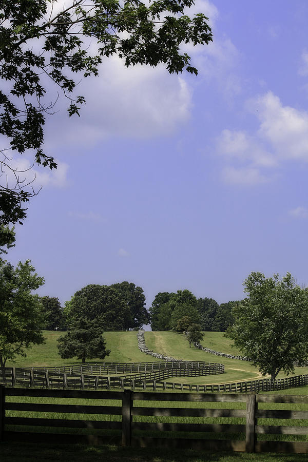 The Road to Lynchburg from Appomattox Virginia Photograph by Teresa Mucha