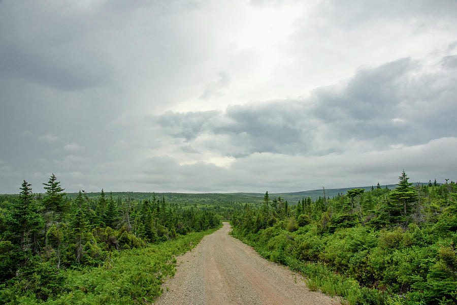 a road to nowhere a road to nowhere