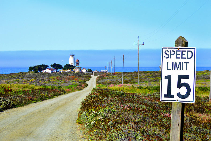 The Road To Piedras Blancas Lighthouse Photograph by Glenn McCarthy Art and Photography