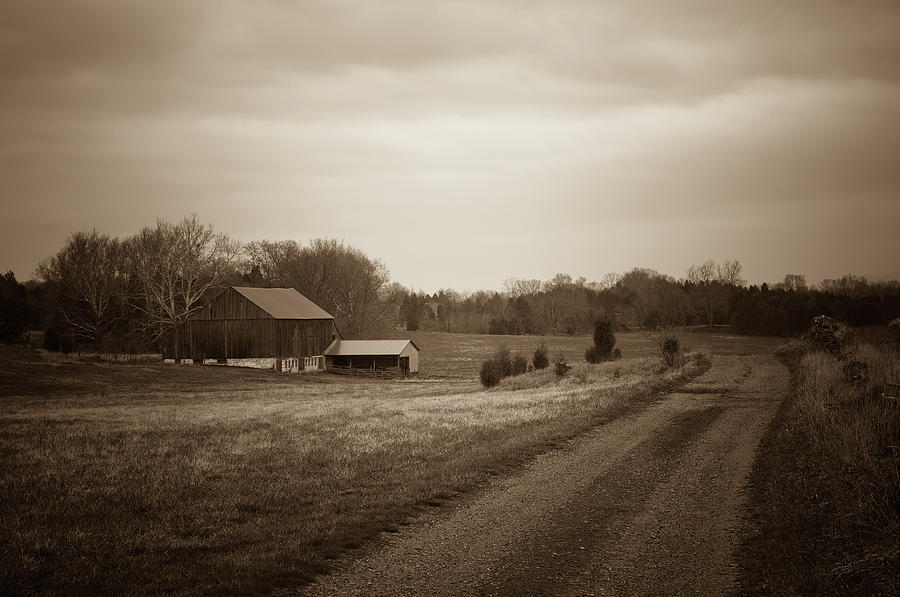 The Road to Roulette Farm Photograph by James Oppenheim