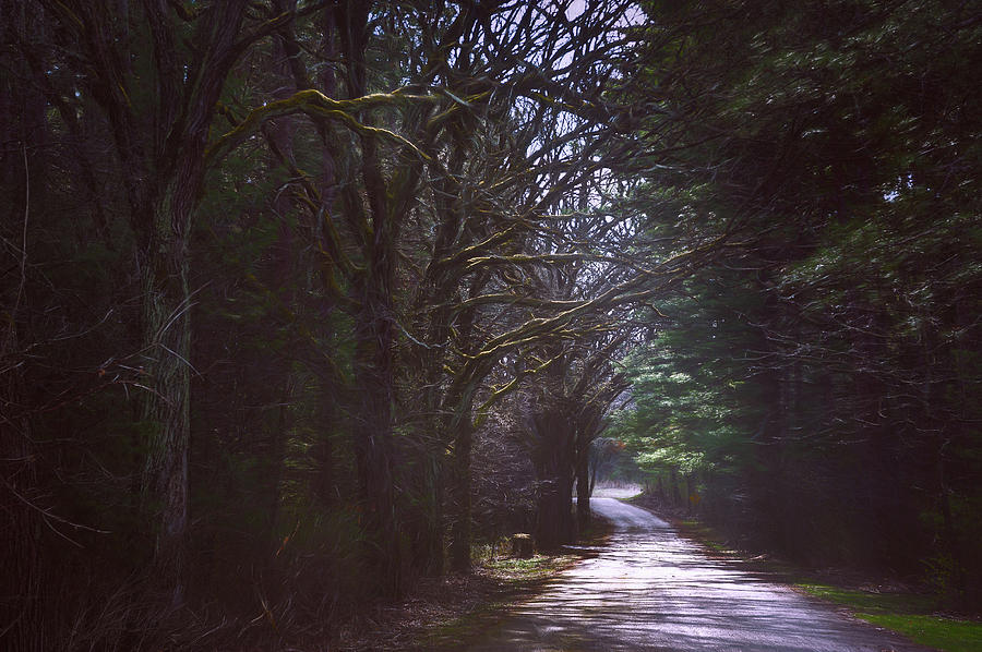 Landscape Photograph - The Road to Somewhere by Scott Norris