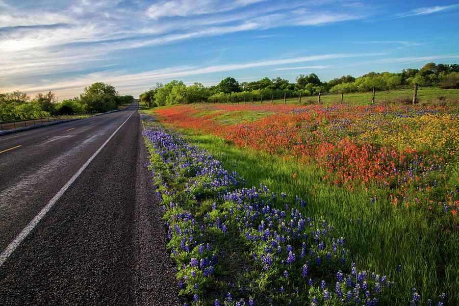 The Road to Spring Photograph by Lynn Bauer