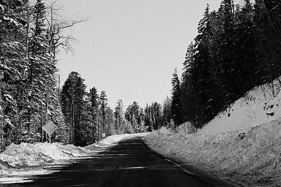 The Road To Winter Heaven Digital Art