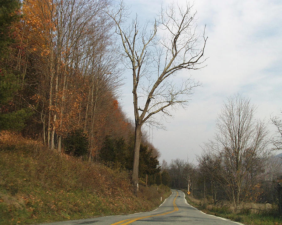 The Road We Were on October 1999 Photograph by Robert Hopkins