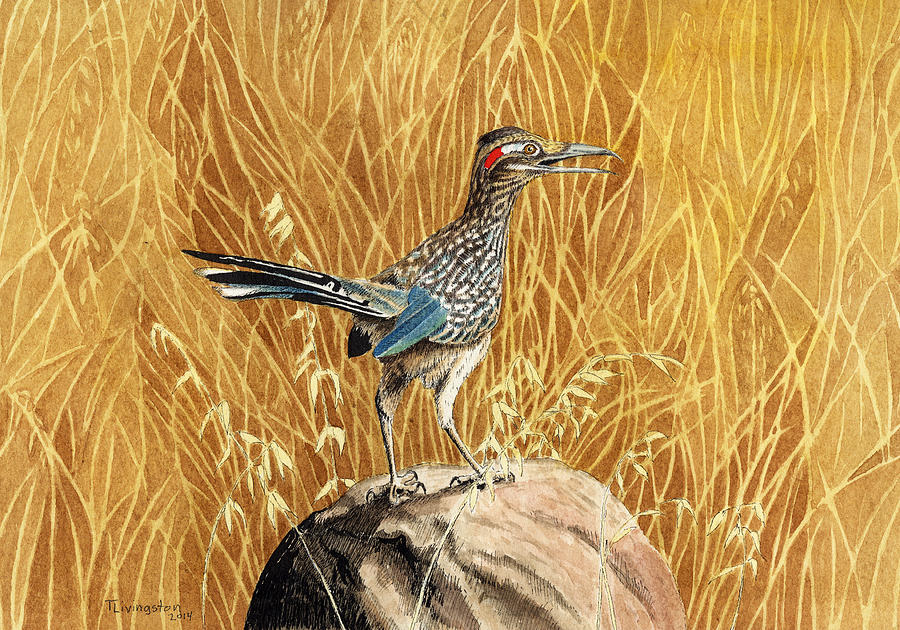 The Roadrunner Drawing by Timothy Livingston
