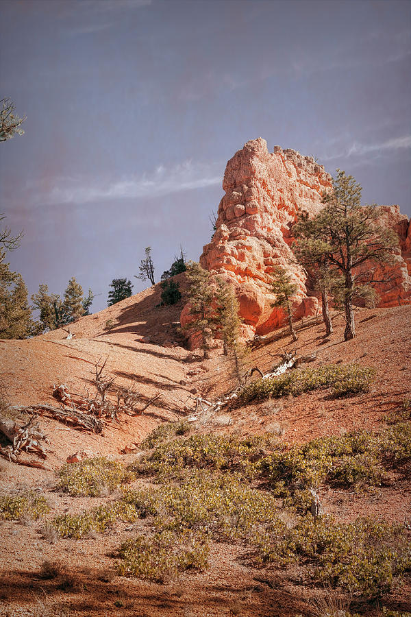 The Rock At The Top Photograph