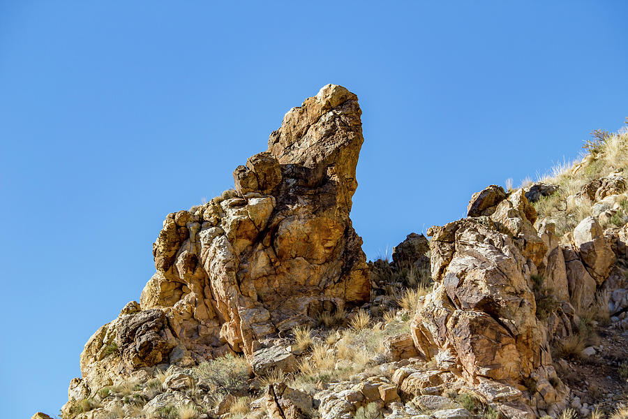 The Rock Dragon Photograph by K Bradley Washburn