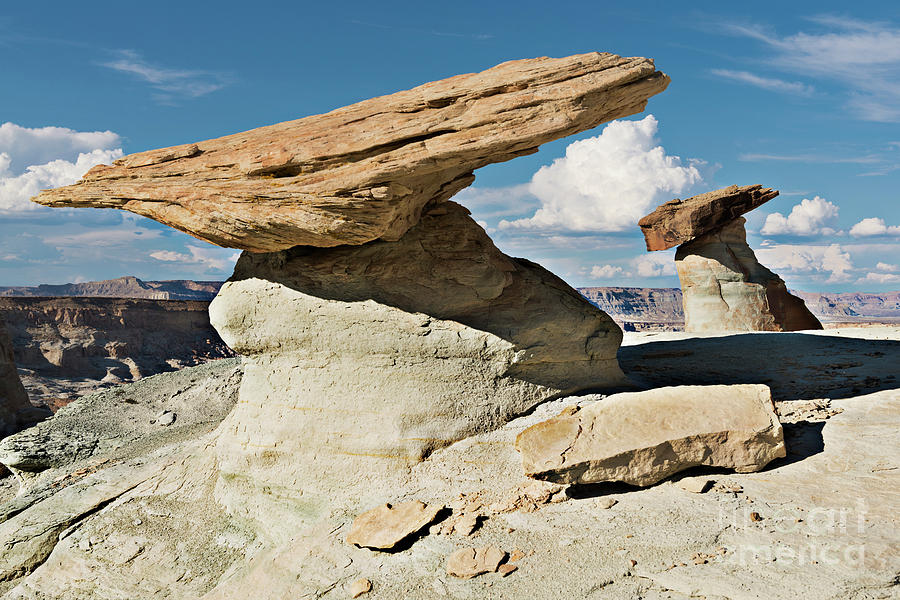 The Rock Factory - Stud Horse Point Photograph by Sandra Bronstein