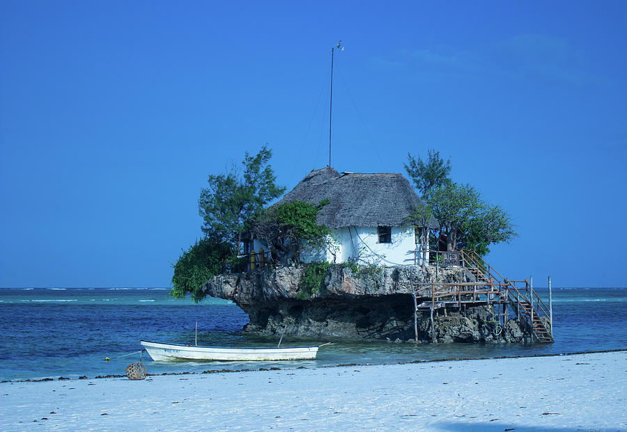 The Rock on Zanzibar by Brenda Smith DVM The Rock on Zanzibar by Brenda Smith DVM