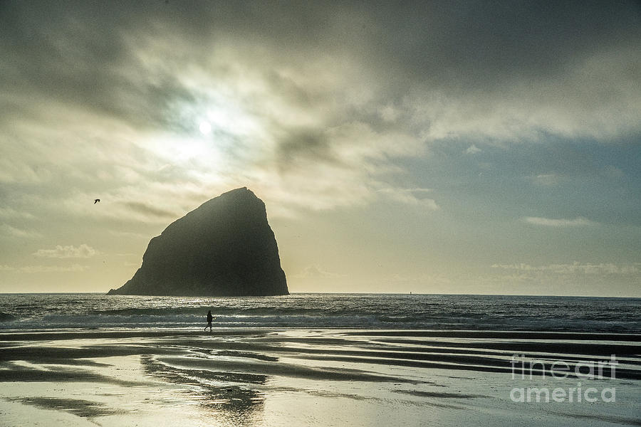 The Rock Photograph by Paul Quinn