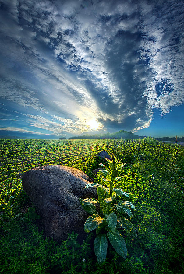 The Rock Photograph by Phil Koch