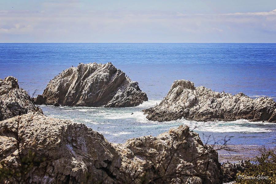 The Rocks of Bird Island Trail Photograph by Deana Glenz