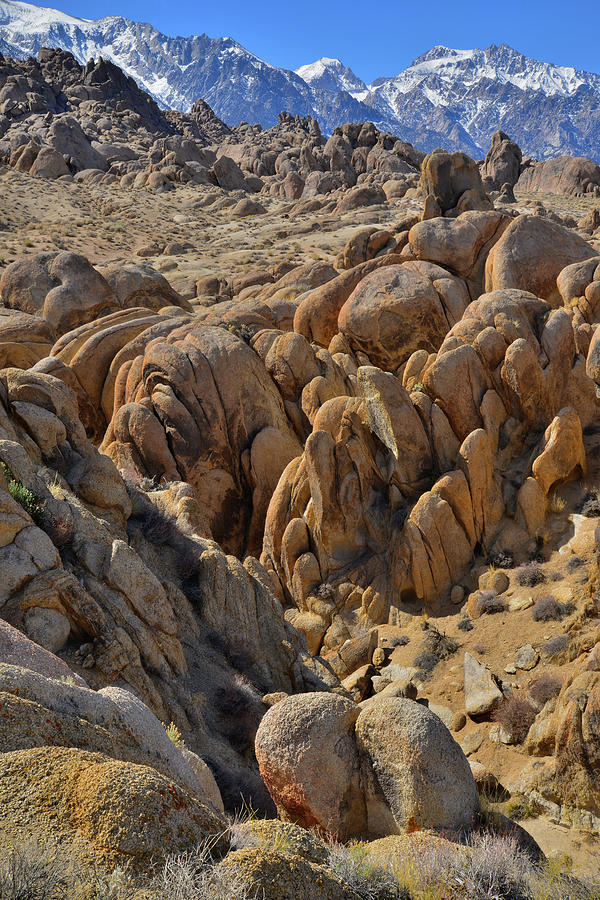 The Rolling Alabama Hills Photograph