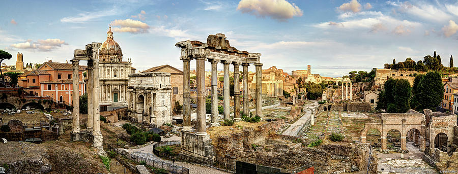 The Roman Forum Photograph by Weston Westmoreland