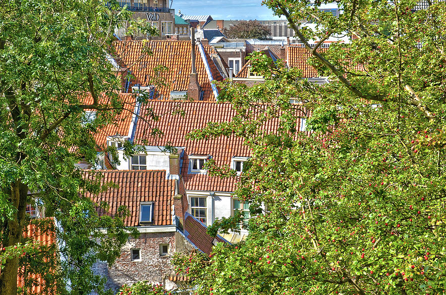 The Rooftops of Leiden Photograph by Frans Blok