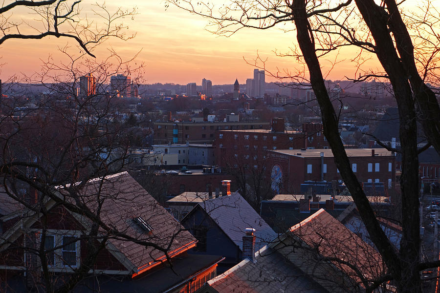 The rooftops of Somerville Photograph by Toby McGuire