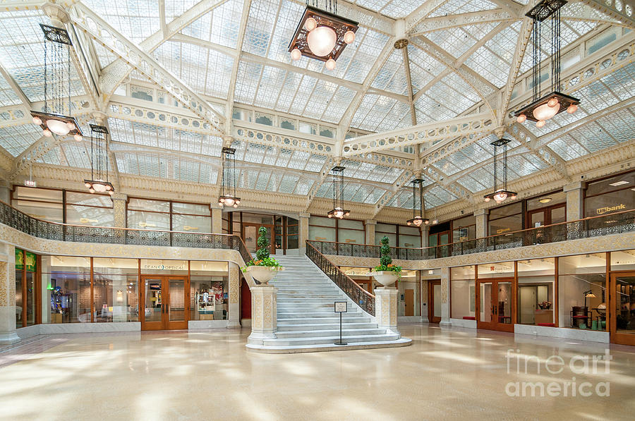 The Rookery Photograph by David Levin