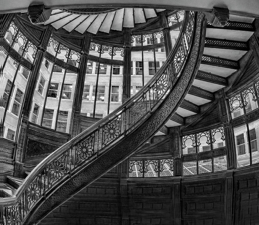 The Rookery Photograph by Roni Chastain