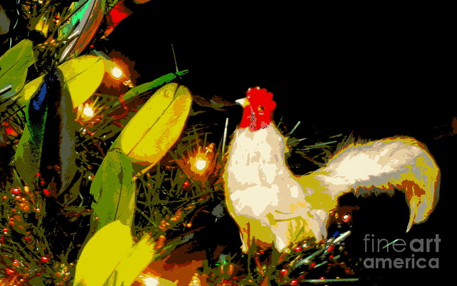 The Rooster In A Parrot Feather Christmas Tree Photograph