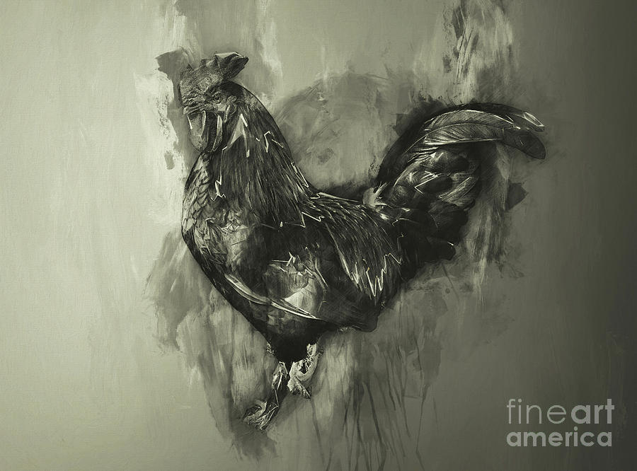 The Rooster monochrome Photograph by Jack Torcello