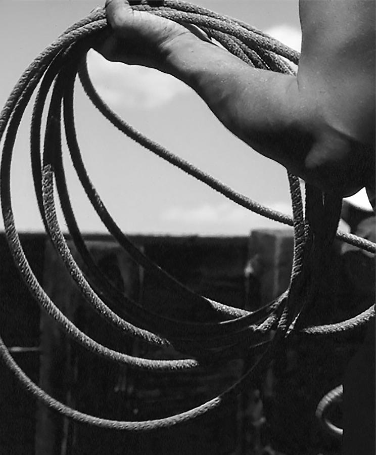 The Rope Photograph by Susan Crowell