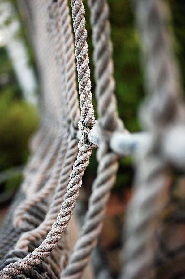 The Ropes Photograph by Robert Meanor